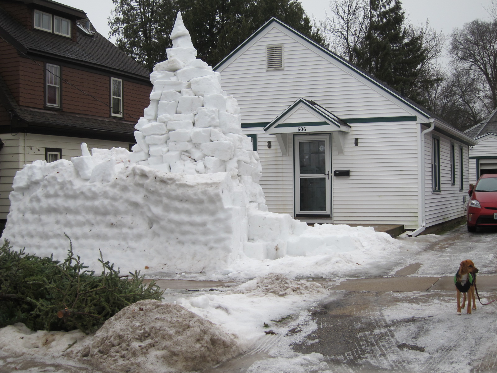 Almost as tall as the house, until the January thaw hit...