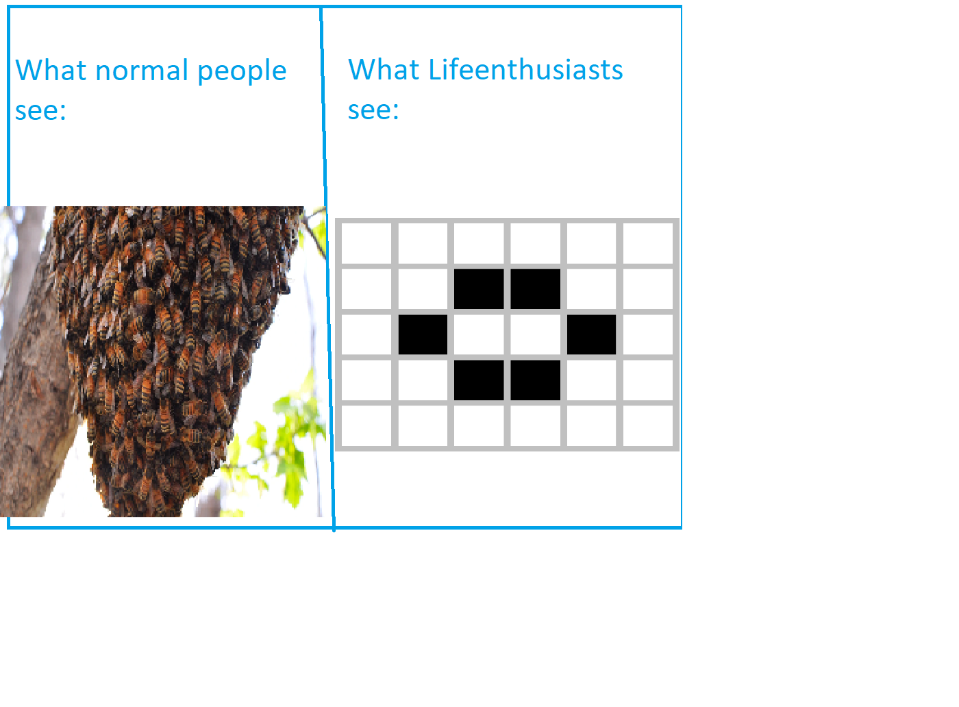 meme 2.png