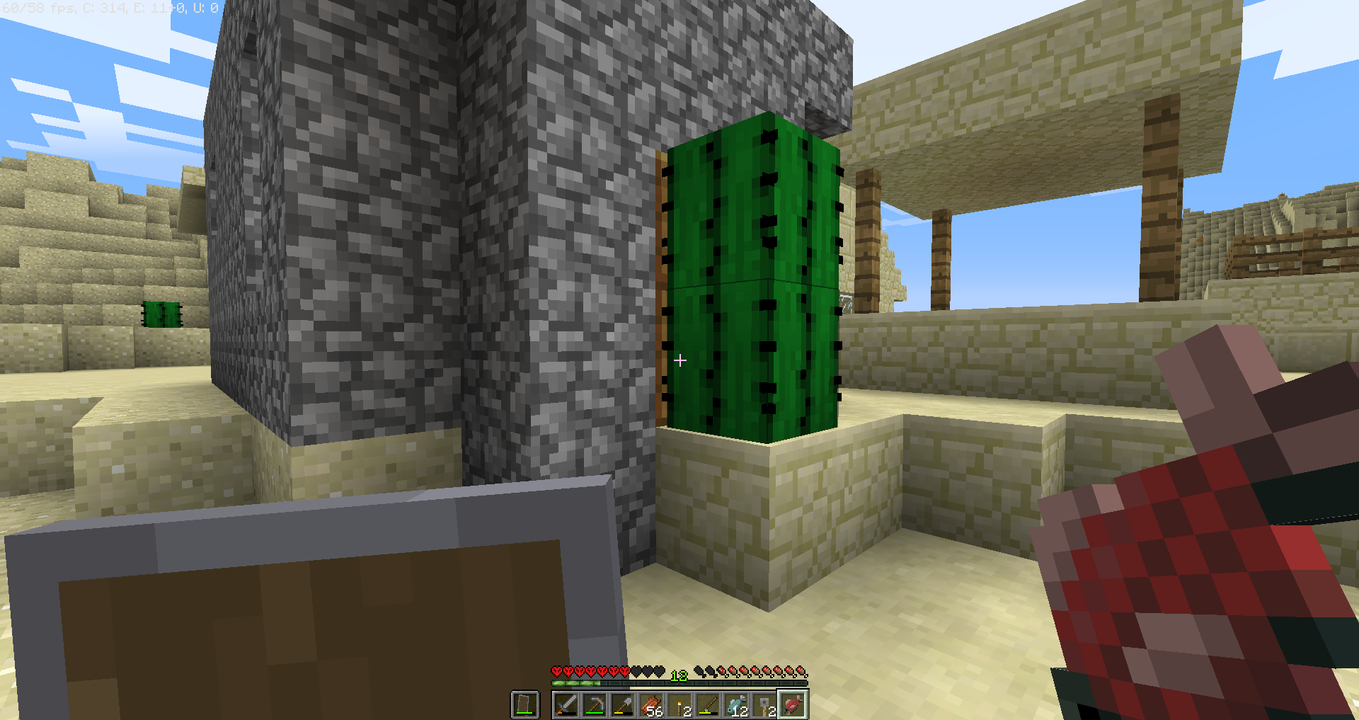 A weird cactus generation in my hardcore world