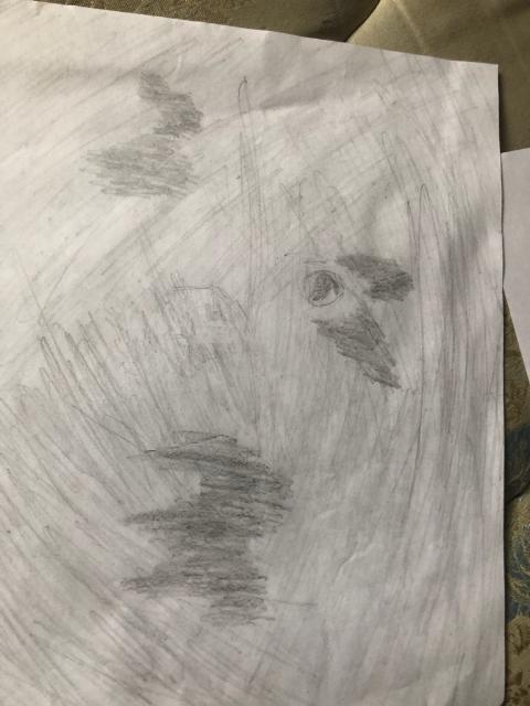 A night sky! (drawn with reference to the day sky)