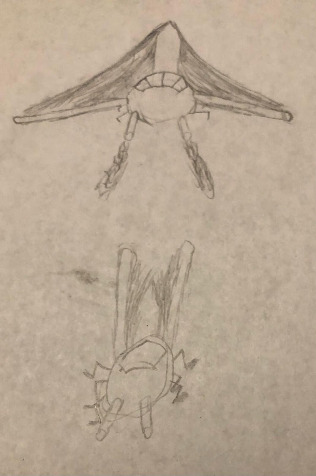 Inspired by bats! (I can't get the cicada one because I lost my physical "Drawing/stuff" folder)