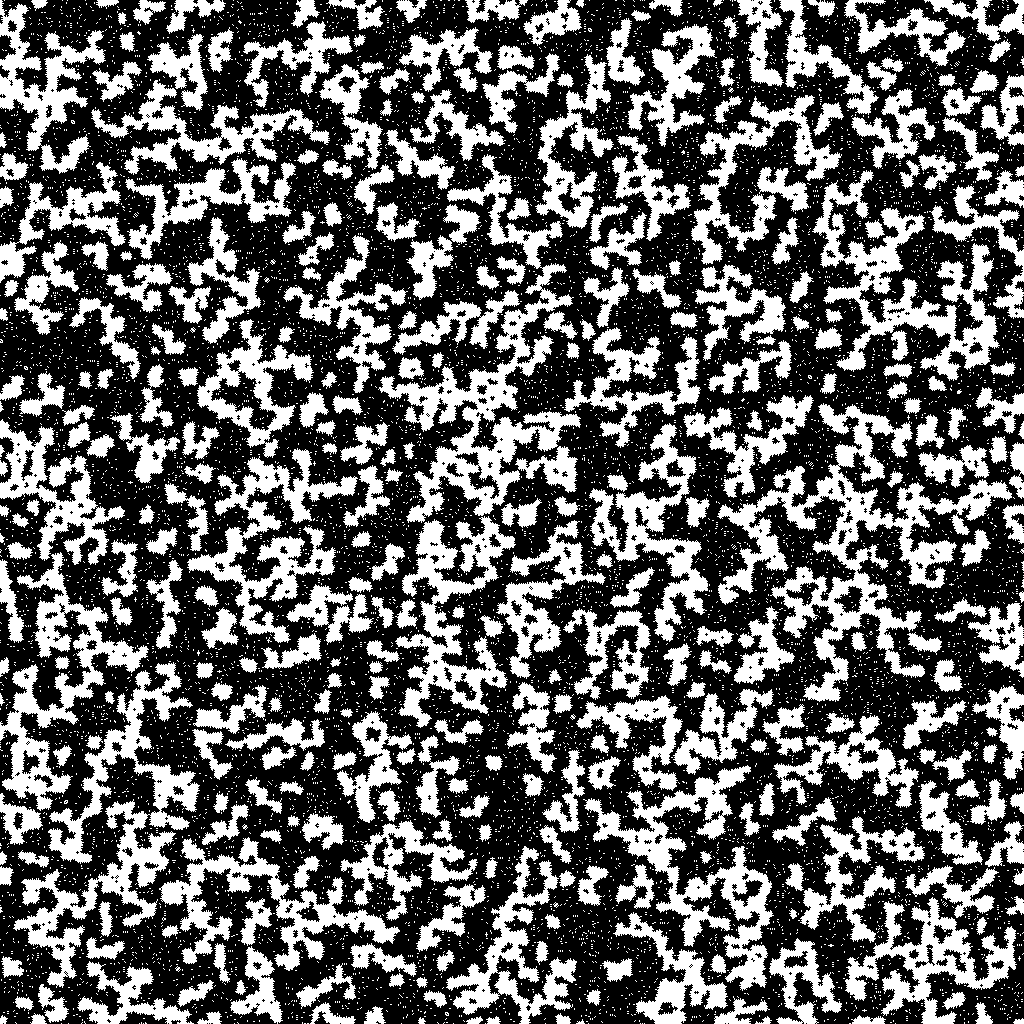 Generation 2000 of a random 1024*1024 torus. I hereby release this image into the public domain, allowing free use for any purpose.