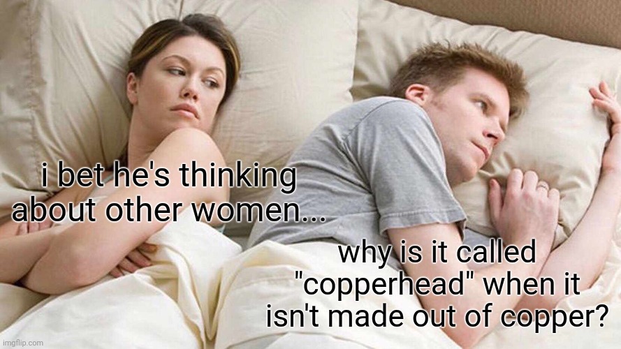 8lwixo.jpg