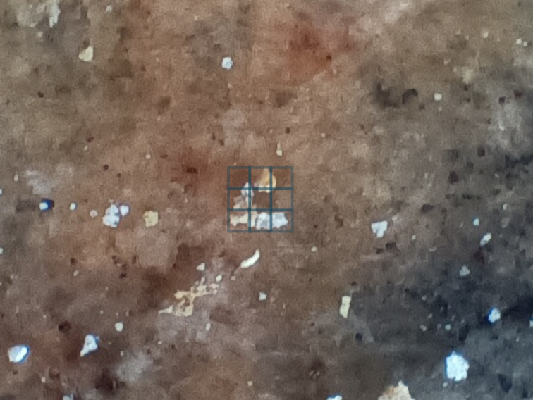 image7581.png