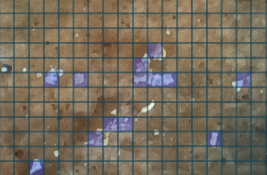 image7581.png