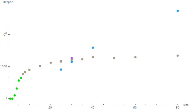 torus_lifespan_v9.png
