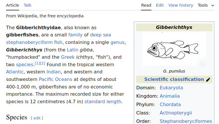https://en.wikipedia.org/wiki/Gibberichthys