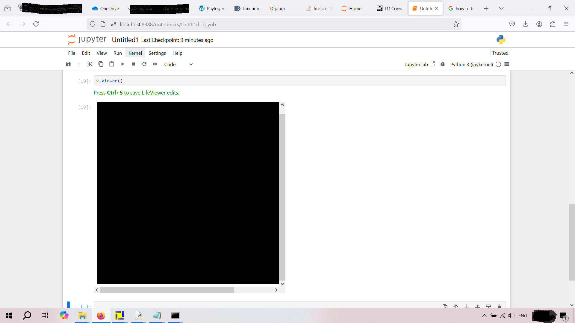 The screenshot of the broken LifeViewer