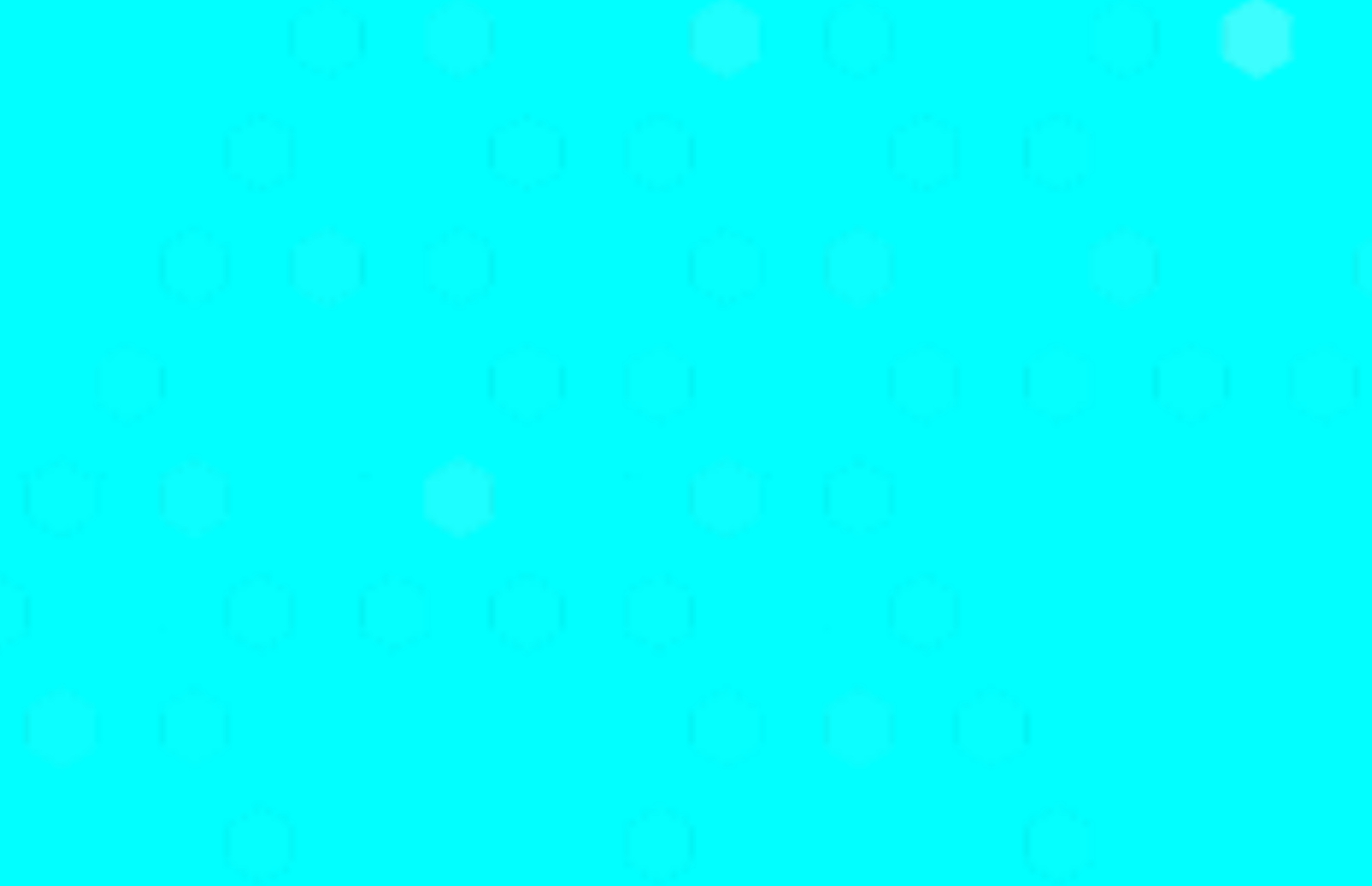 IMG_7266.jpeg