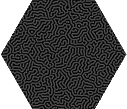 gray_scott_out_44.png
