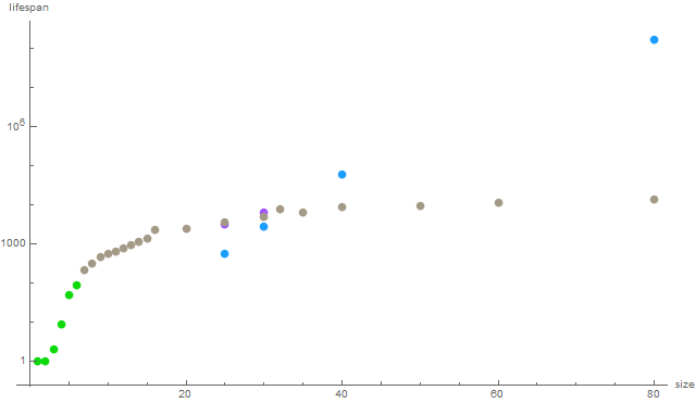 torus_lifespan_v16.png