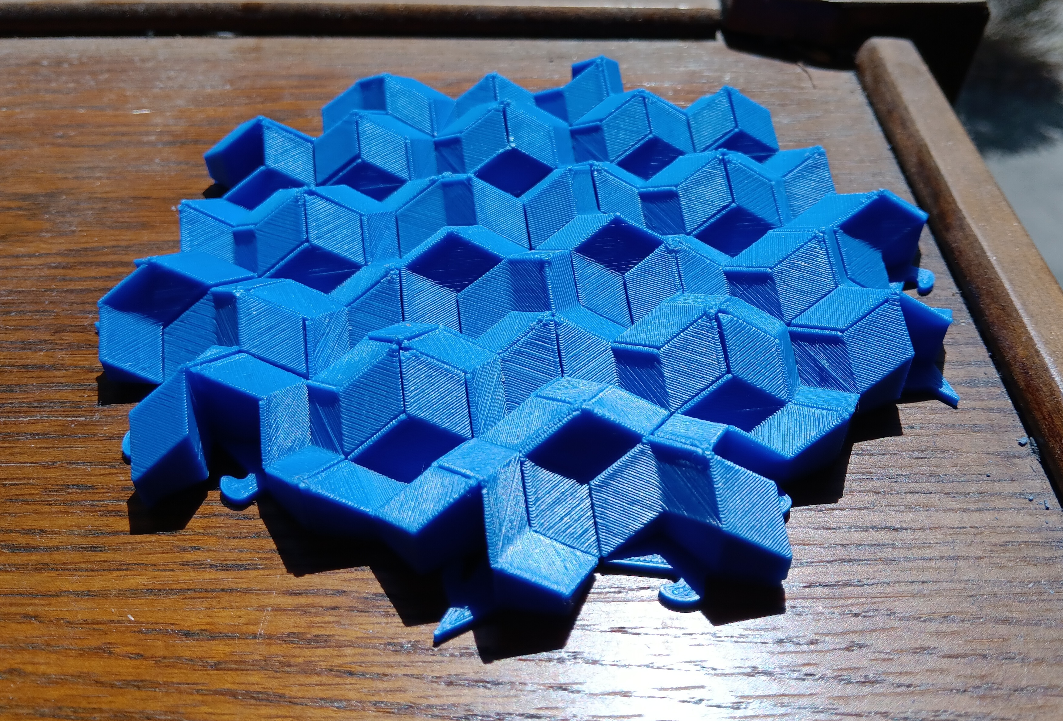 20260906_125405.jpg