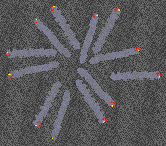 egliders.png