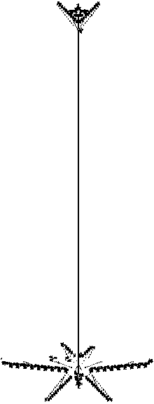 Telegraph image